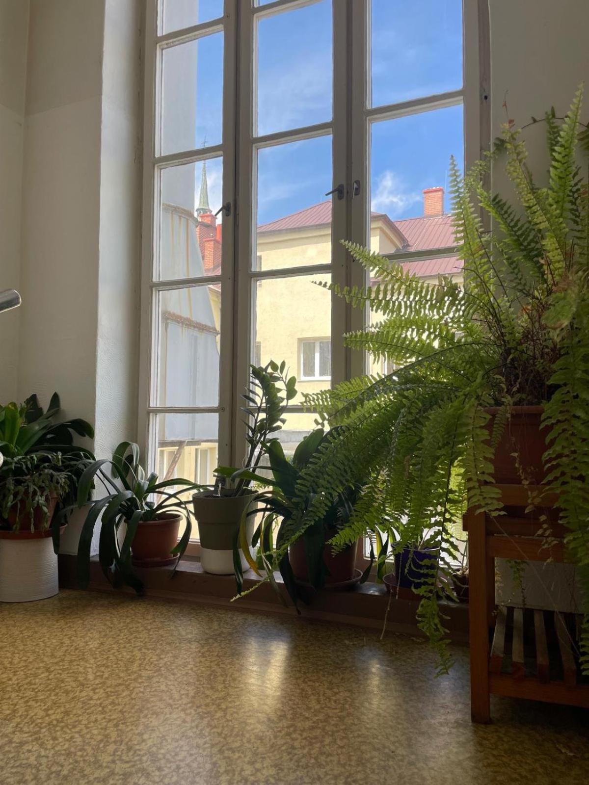 Hostel Moravia Ostrava Buitenkant foto